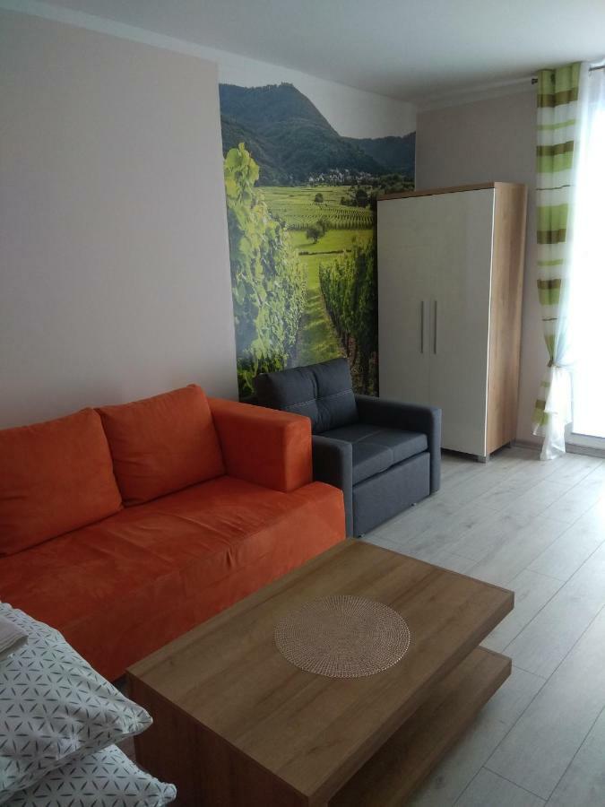 Apartament Winnica Centrum เจโลนากูรา ภายนอก รูปภาพ
